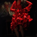Flamenco solidario en Castellón