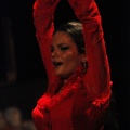 Flamenco solidario en Castellón