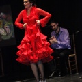 Flamenco solidario en Castellón