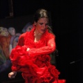 Flamenco solidario en Castellón