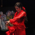 Flamenco solidario en Castellón