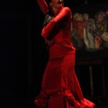 Flamenco solidario en Castellón