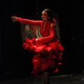 Flamenco solidario en Castellón