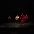 Flamenco solidario en Castellón