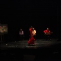 Flamenco solidario en Castellón