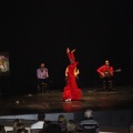 Flamenco solidario en Castellón