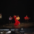Flamenco solidario en Castellón