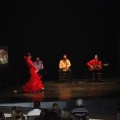 Flamenco solidario en Castellón