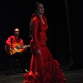Flamenco solidario en Castellón