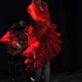 Flamenco solidario en Castellón