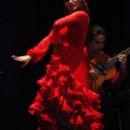 Flamenco solidario en Castellón