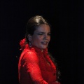 Flamenco solidario en Castellón