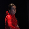 Flamenco solidario en Castellón