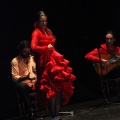 Flamenco solidario en Castellón