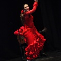 Flamenco solidario en Castellón