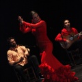 Flamenco solidario en Castellón