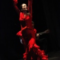 Flamenco solidario en Castellón