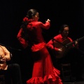 Flamenco solidario en Castellón