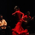 Flamenco solidario en Castellón