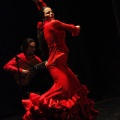 Flamenco solidario en Castellón