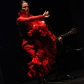 Flamenco solidario en Castellón