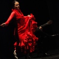 Flamenco solidario en Castellón
