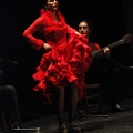 Flamenco solidario en Castellón