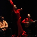 Flamenco solidario en Castellón