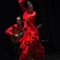 Flamenco solidario en Castellón