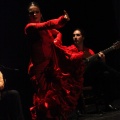 Flamenco solidario en Castellón