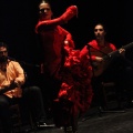 Flamenco solidario en Castellón
