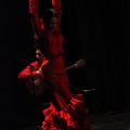 Flamenco solidario en Castellón