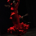 Flamenco solidario en Castellón