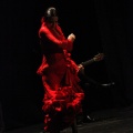 Flamenco solidario en Castellón