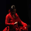 Flamenco solidario en Castellón