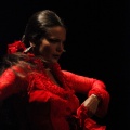 Flamenco solidario en Castellón