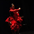 Flamenco solidario en Castellón