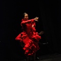 Flamenco solidario en Castellón