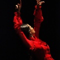 Flamenco solidario en Castellón