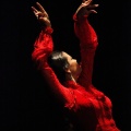 Flamenco solidario en Castellón