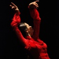 Flamenco solidario en Castellón