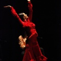 Flamenco solidario en Castellón