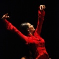 Flamenco solidario en Castellón