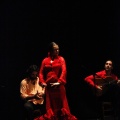 Flamenco solidario en Castellón