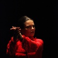 Flamenco solidario en Castellón