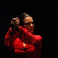 Flamenco solidario en Castellón