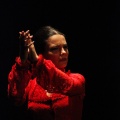 Flamenco solidario en Castellón