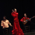 Flamenco solidario en Castellón