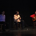 Flamenco solidario en Castellón