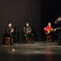 Flamenco solidario en Castellón